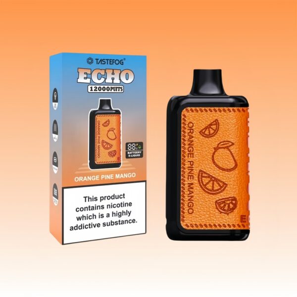 Buy Cheap Tastefog Echo 12000 Puffs For Sale | Price 7,99 | Wholesale |  VSVAPE