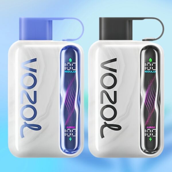elfbar elfa kaufen Vozol Gear Shisha Disposable Vape - 25000 Puffs DTL Device main image 0